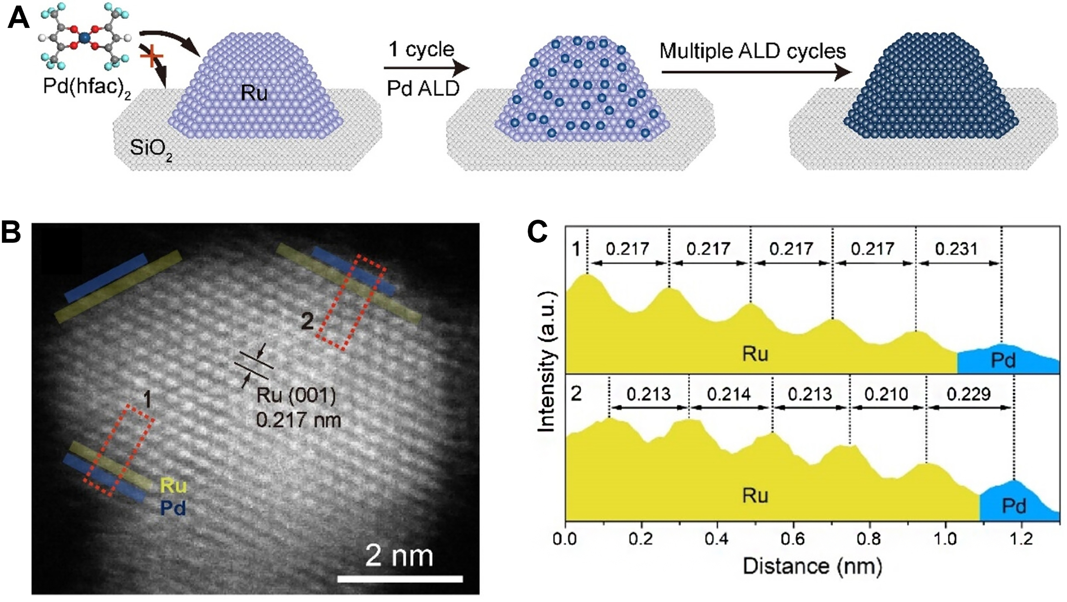 Spatial distance effect of bimetallic active sites for selective hydrogenation