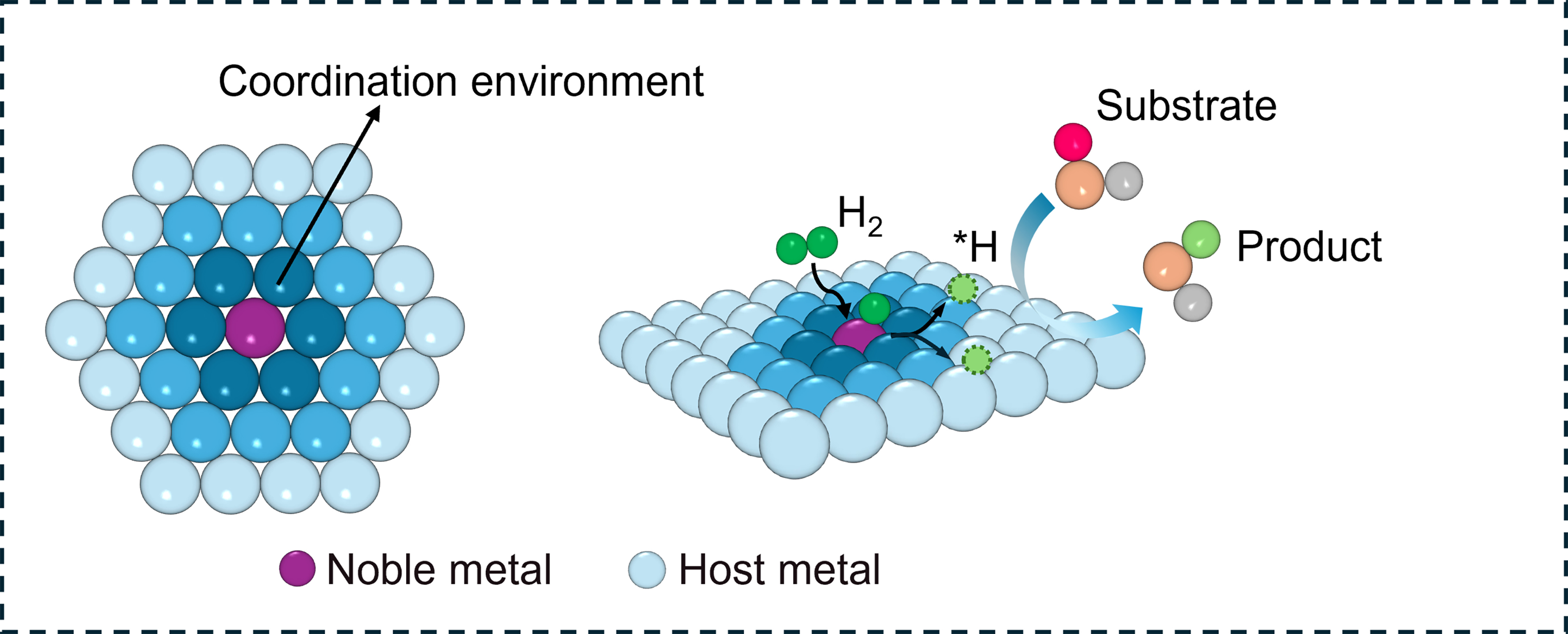 Spatial distance effect of bimetallic active sites for selective hydrogenation