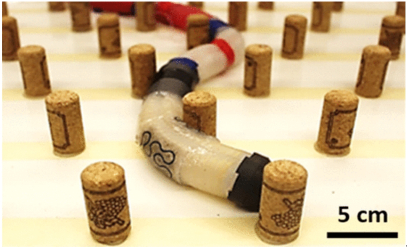 A review of worm-like pipe inspection robots: research, trends and challenges