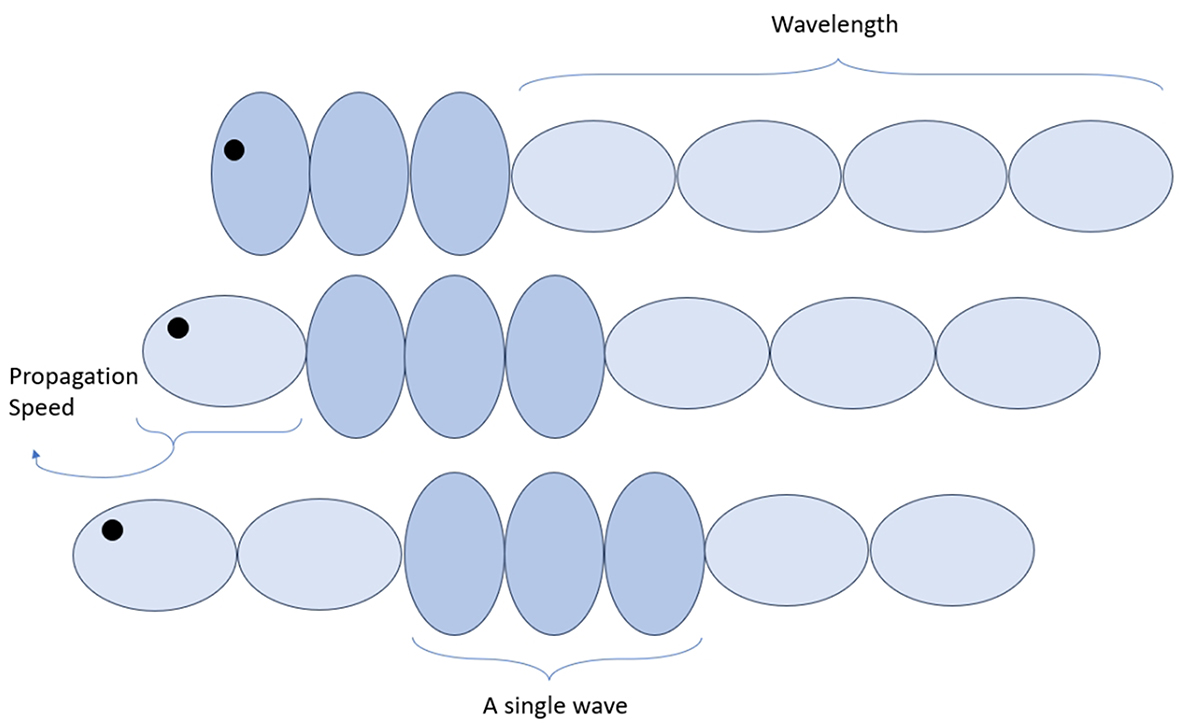A review of worm-like pipe inspection robots: research, trends and challenges