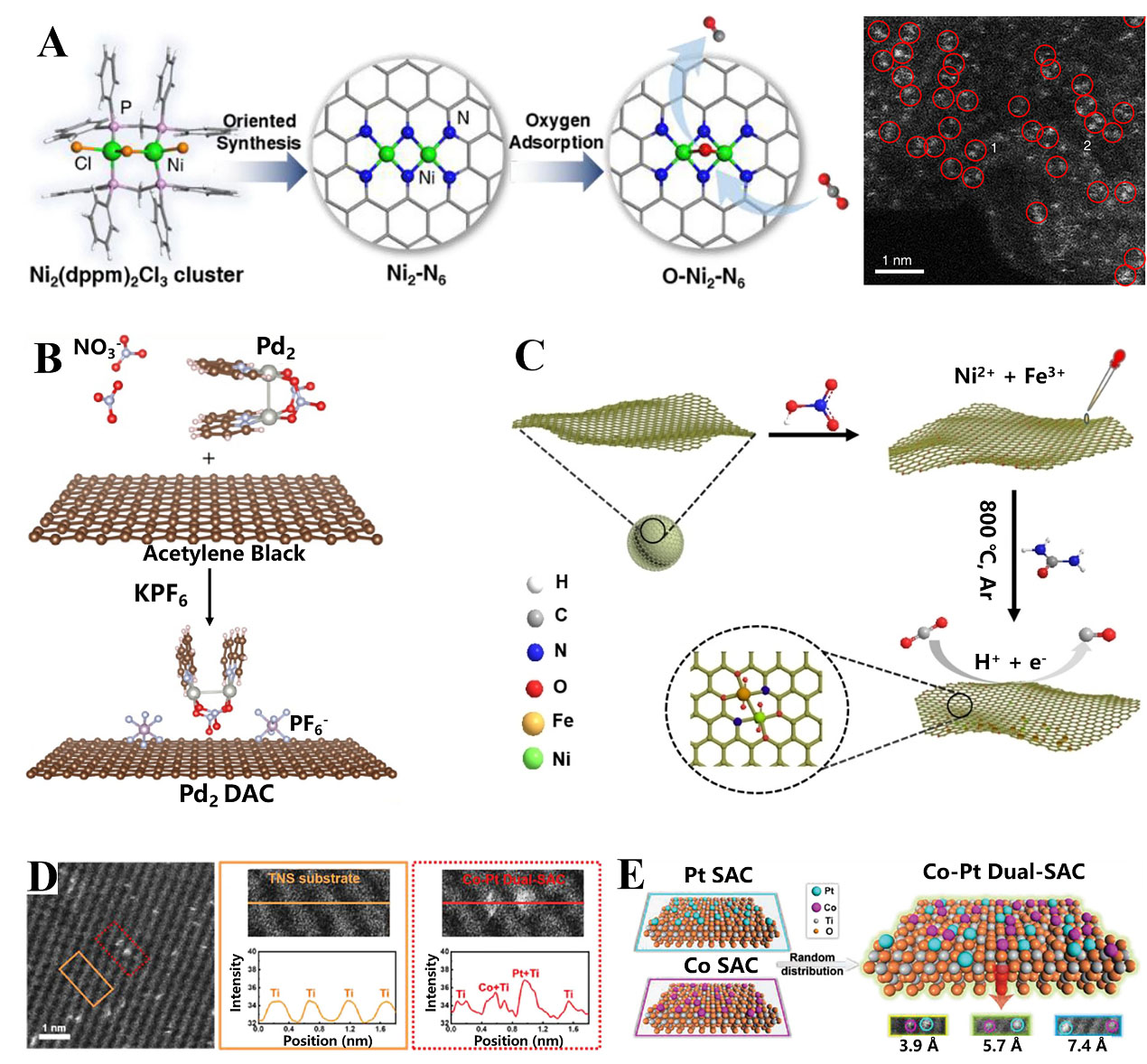 Design of efficient dual-atom catalysts for energy conversion