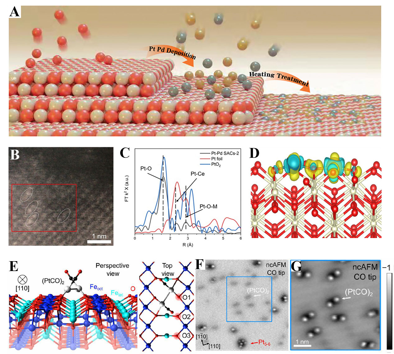 Design of efficient dual-atom catalysts for energy conversion