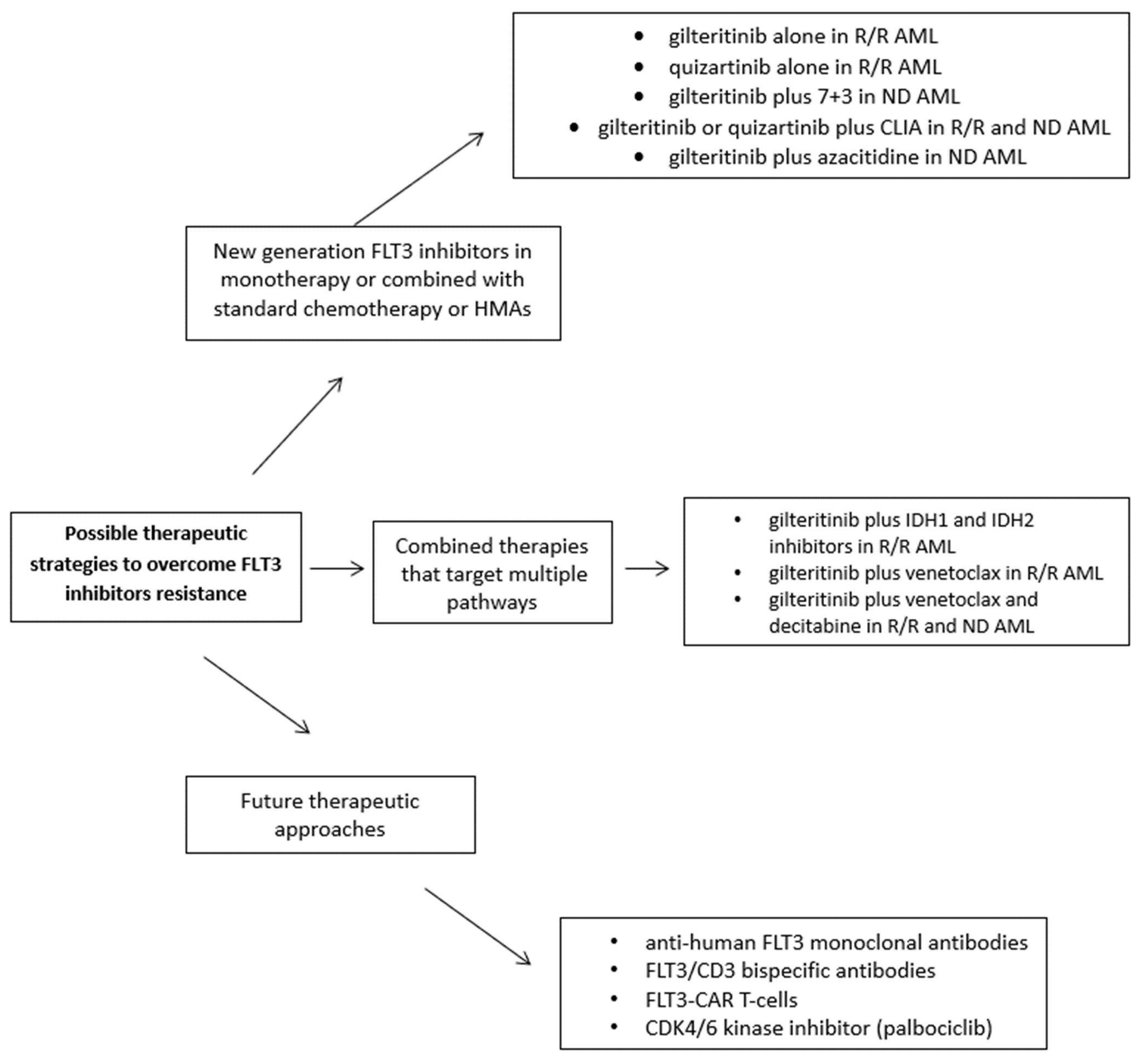 How acute myeloid leukemia (AML) escapes from FMS-related tyrosine kinase 3 (FLT3) inhibitors? Still an overrated complication?