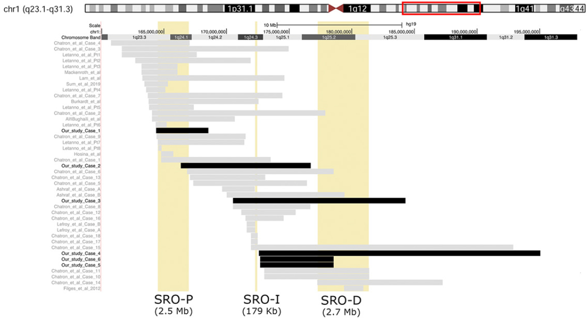 Assigning single clinical features to their disease-locus in large deletions: the example of chromosome 1q23-25 deletion syndrome