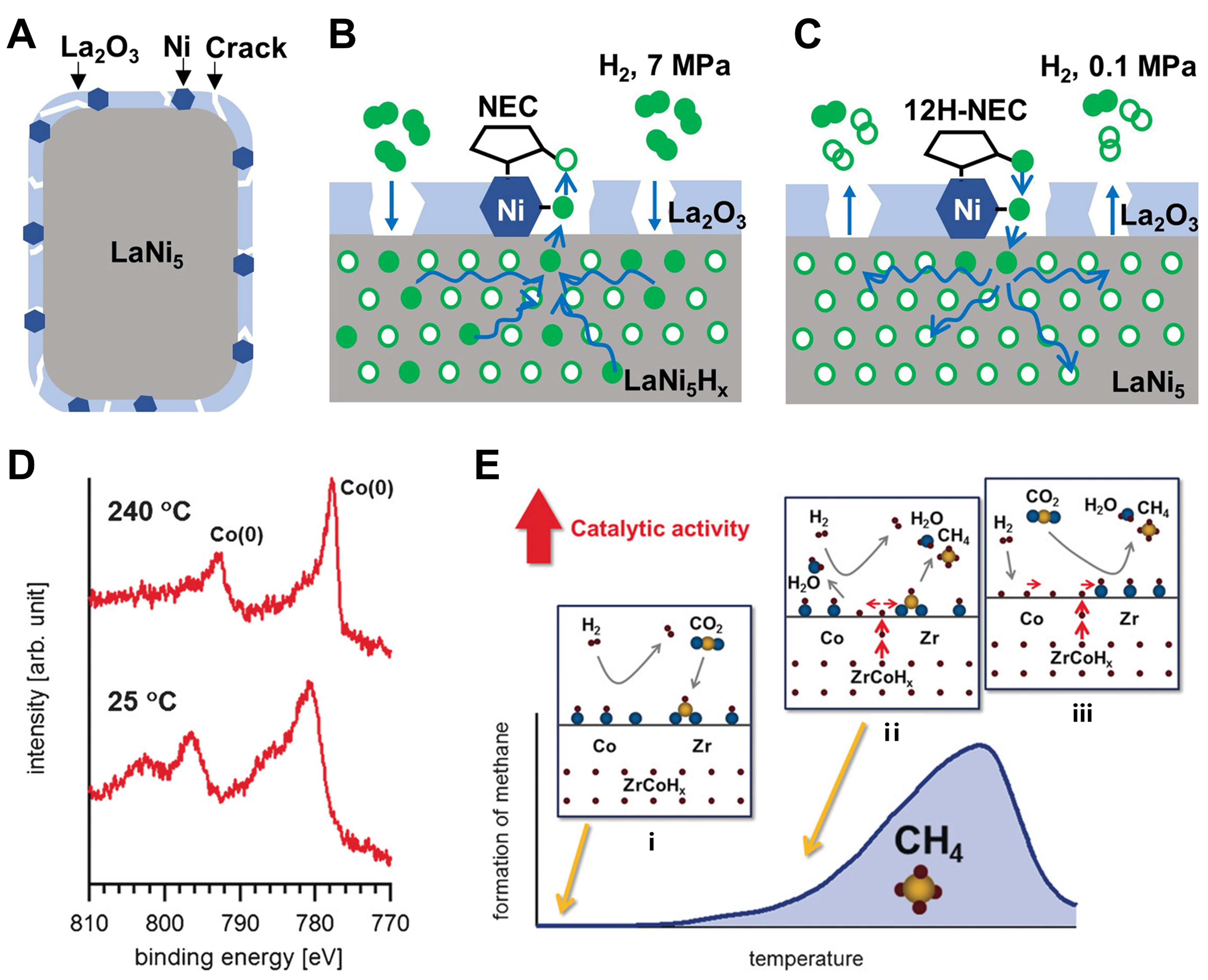 Contribution of metal-hydride species on the catalysts to catalytic performances