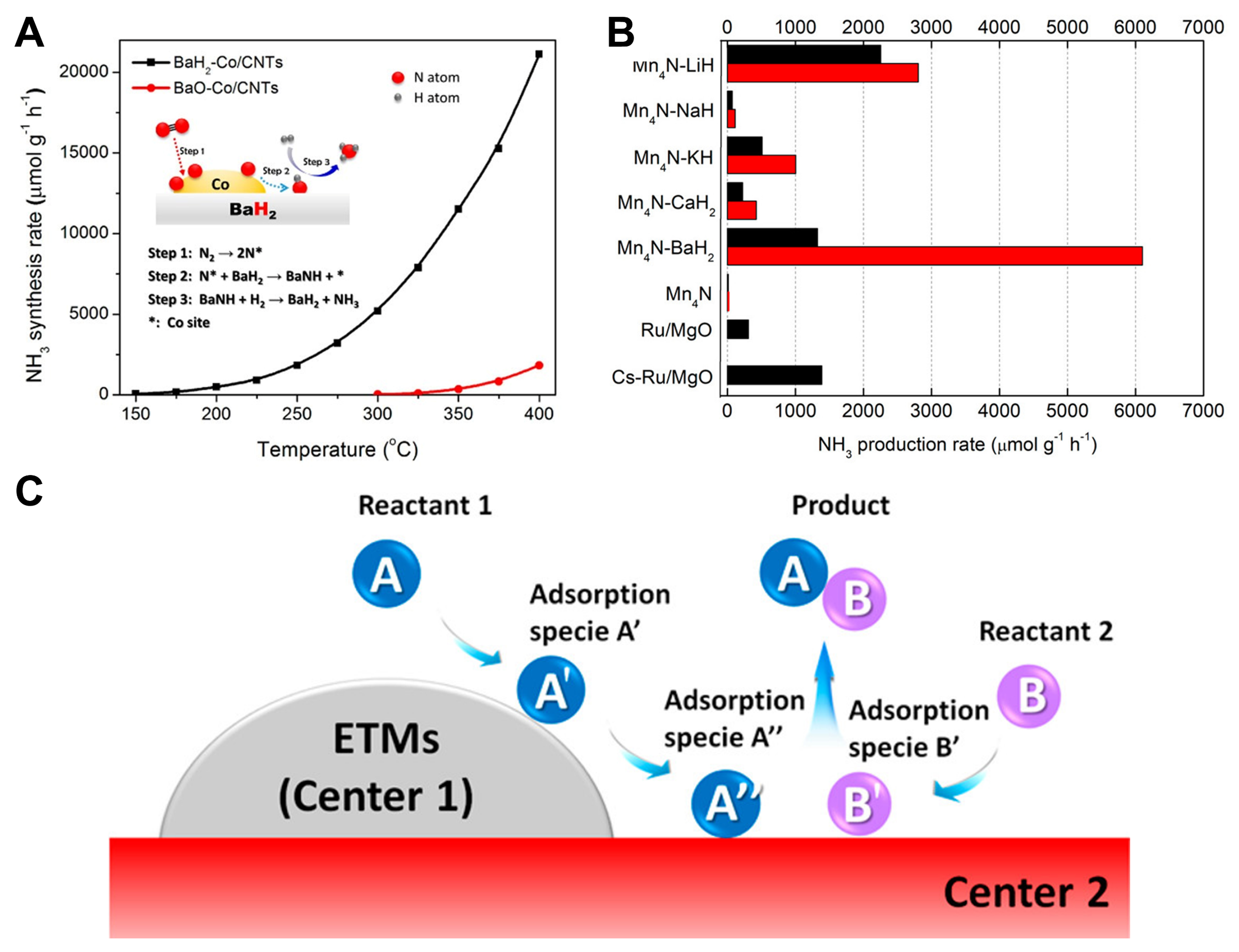 Contribution of metal-hydride species on the catalysts to catalytic performances