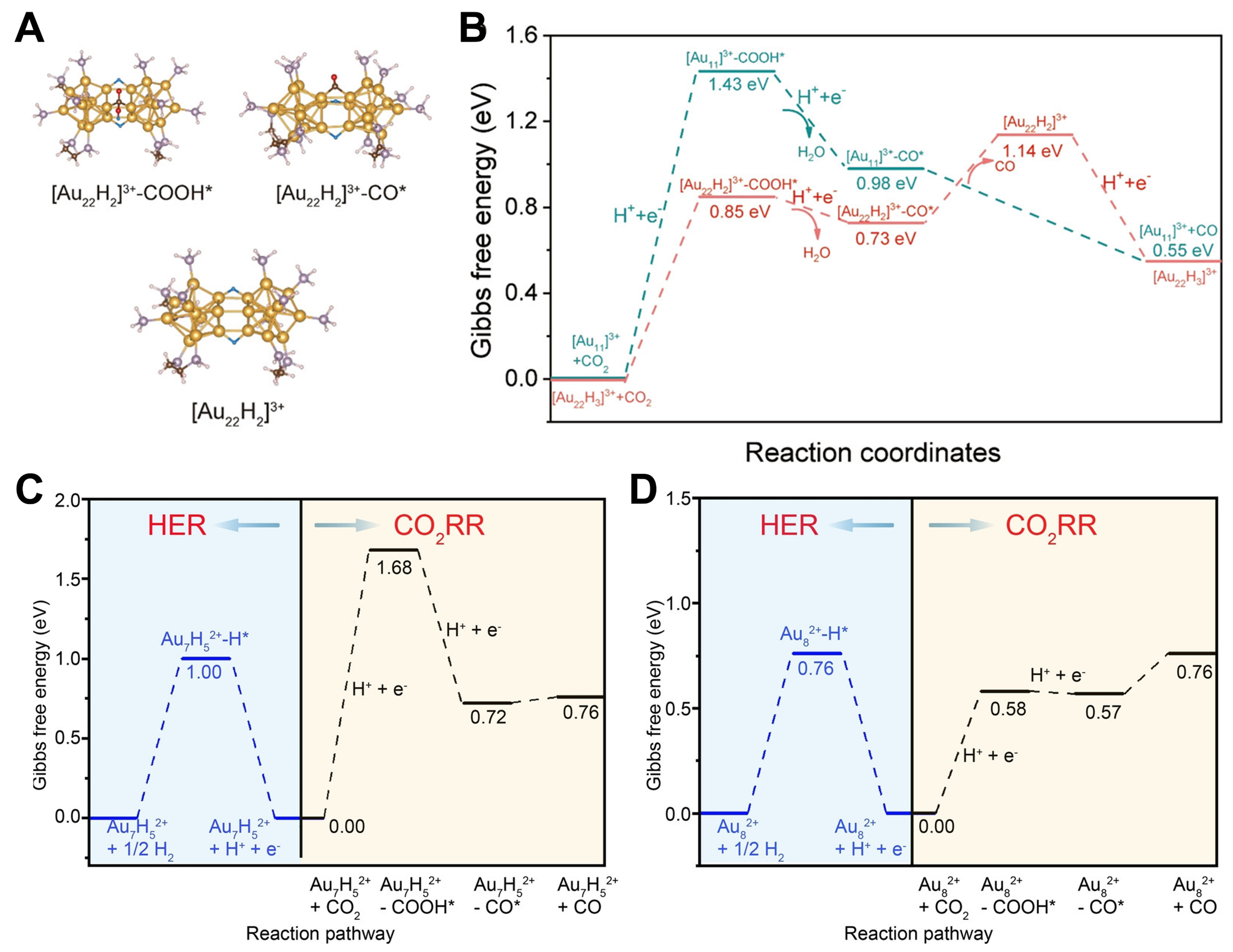 Contribution of metal-hydride species on the catalysts to catalytic performances