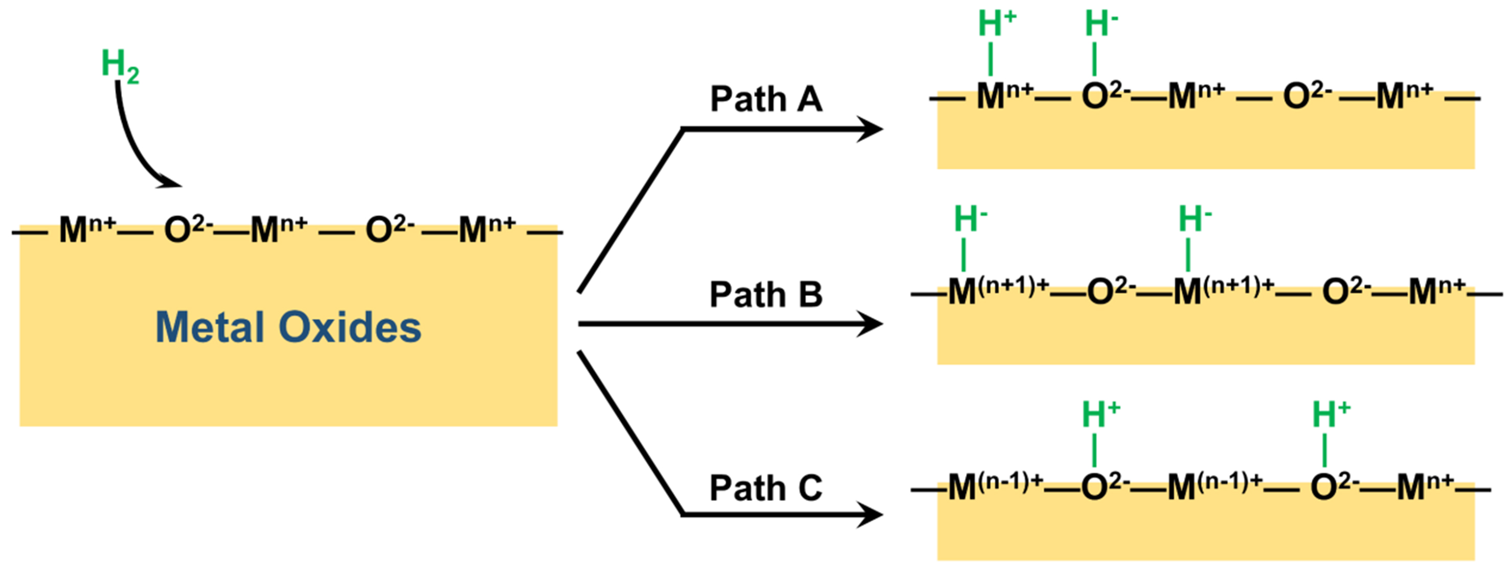 Contribution of metal-hydride species on the catalysts to catalytic performances