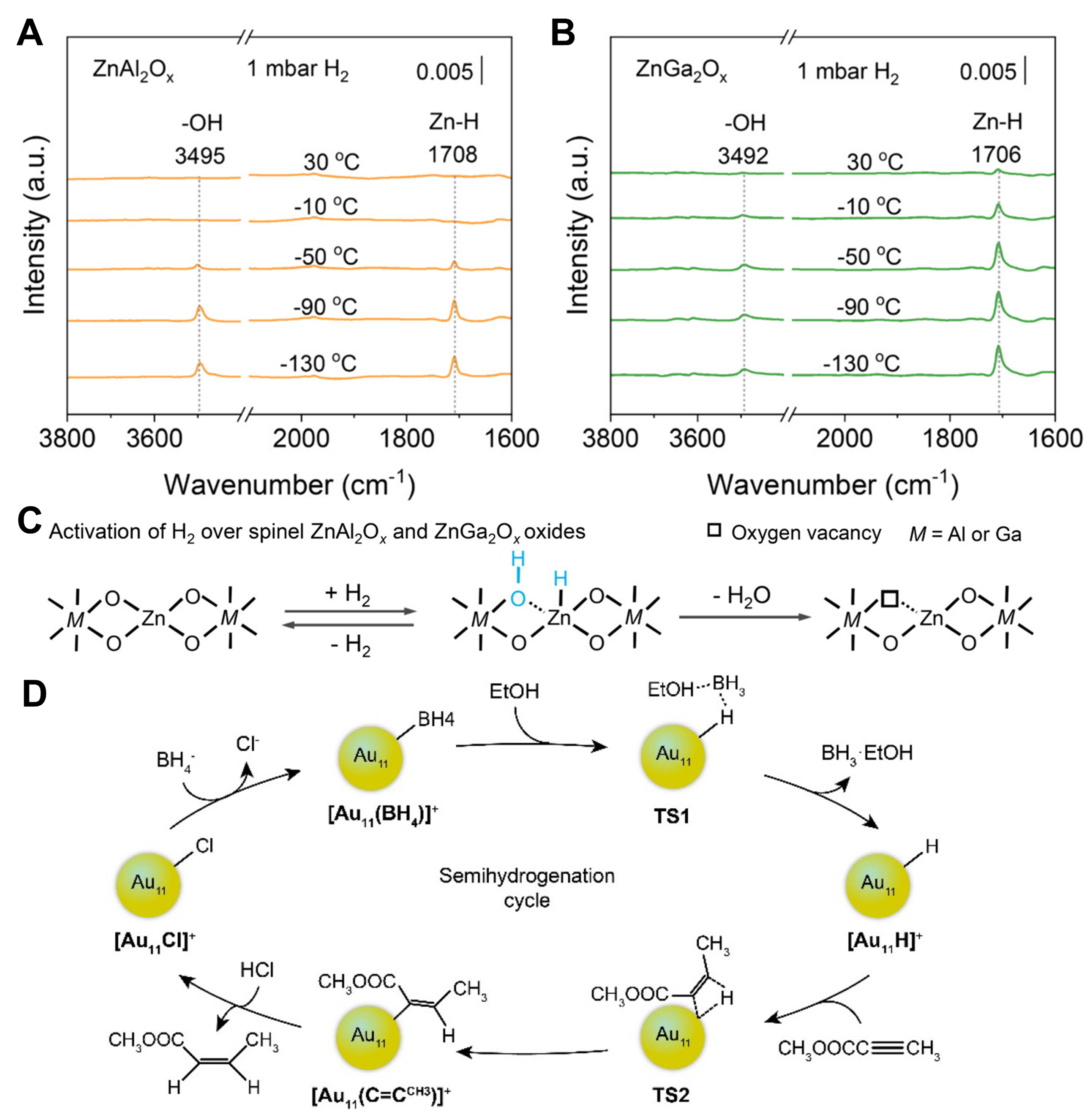 Contribution of metal-hydride species on the catalysts to catalytic performances