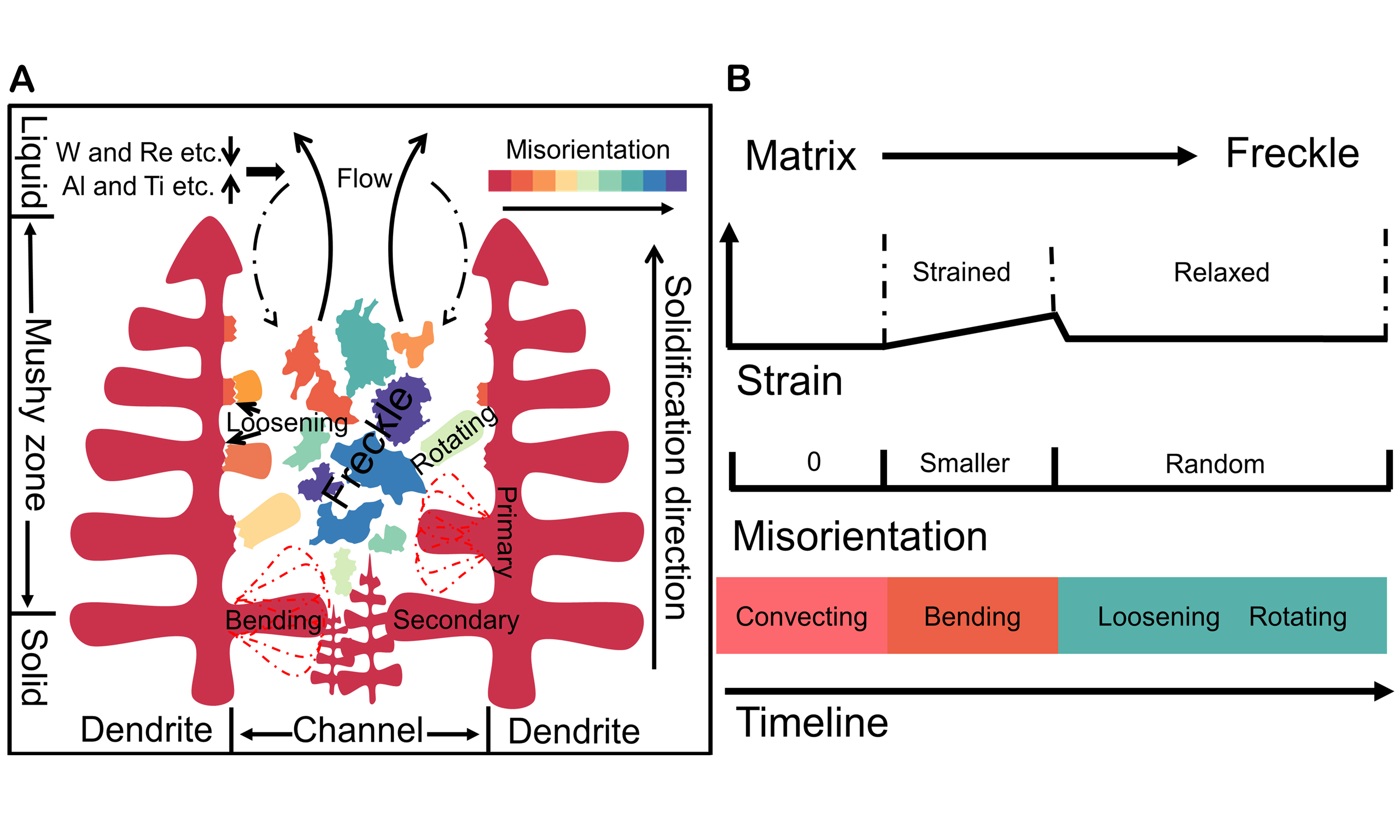 Articles Microstructures OAE