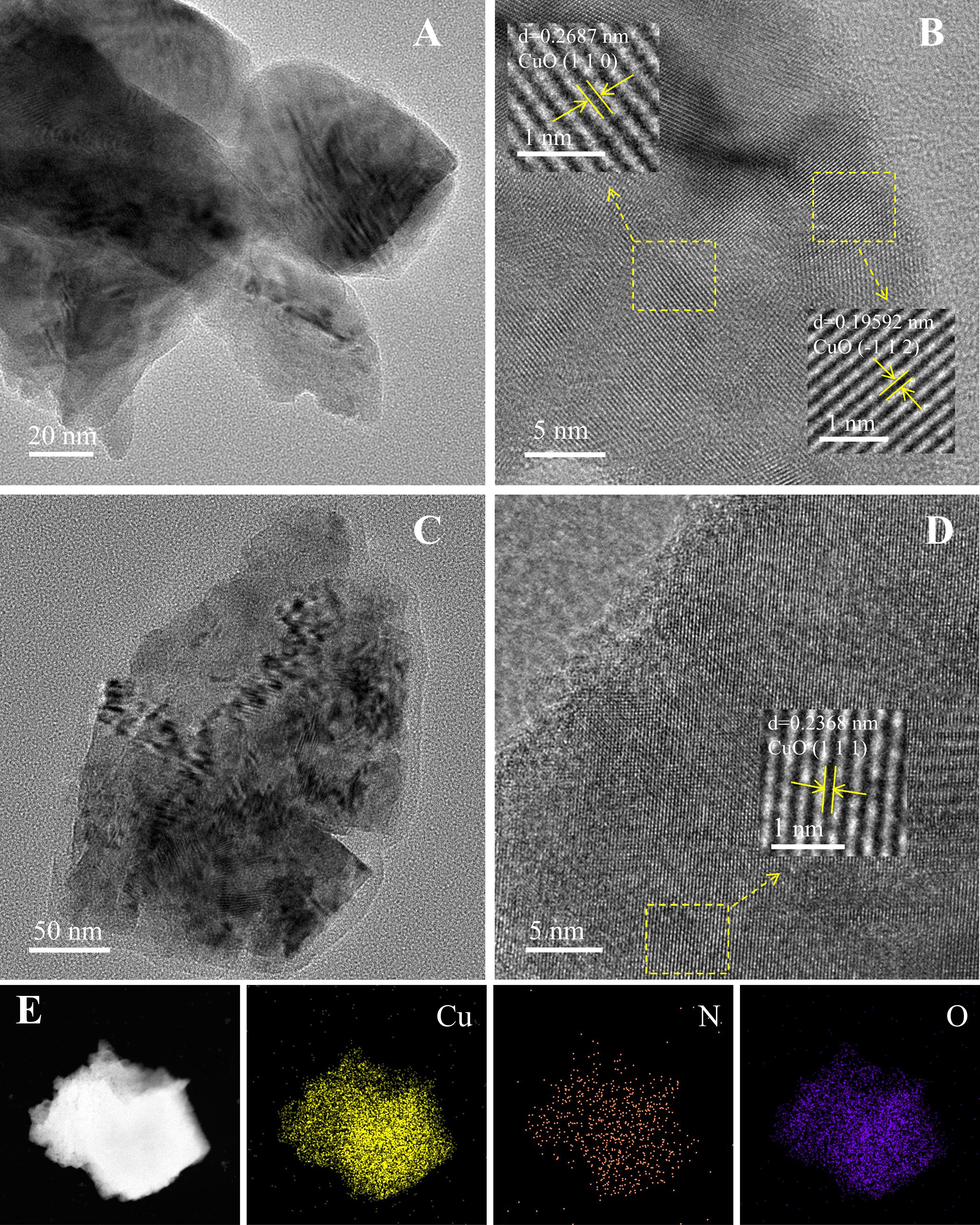 CuO foam with <i>in-situ</i> grown polyaniline for high sensitivity room temperature NO<sub>2</sub> gas sensors