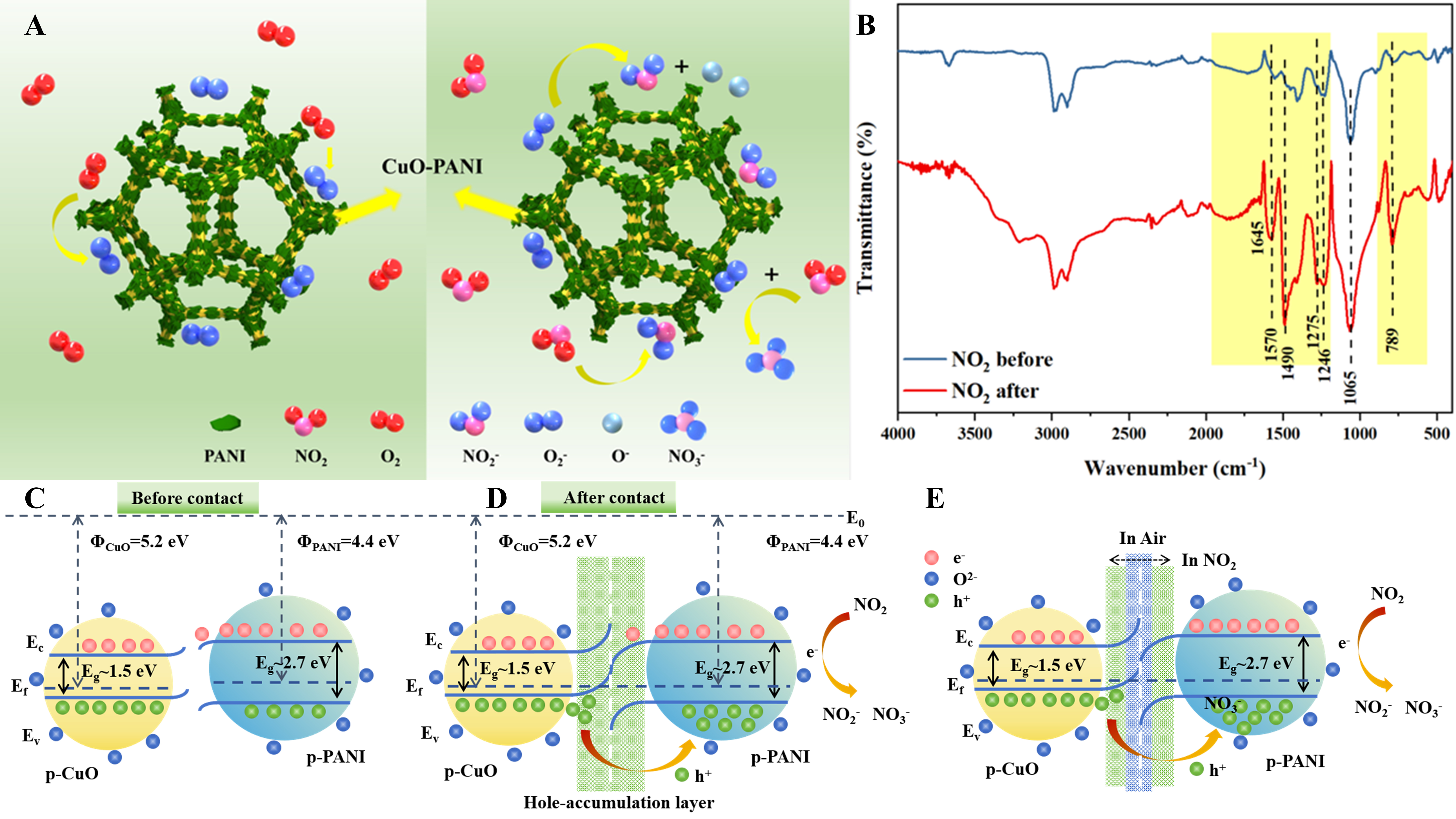 CuO foam with <i>in-situ</i> grown polyaniline for high sensitivity room temperature NO<sub>2</sub> gas sensors