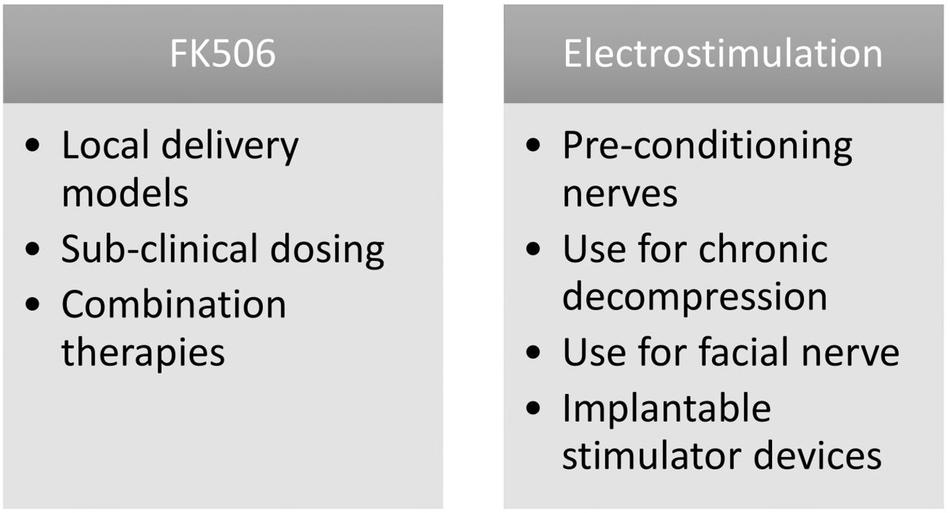 Therapeutic strategies for peripheral nerve injuries: FK506 and electrostimulation