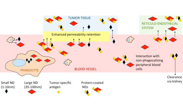 Topic: Overcome Cancer Drug Resistance by Nano-carrier Drug Delivery System