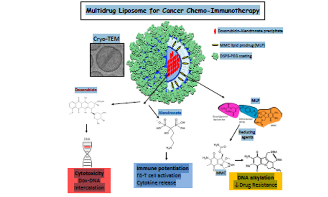 Topic: Overcome Cancer Drug Resistance by Nano-carrier Drug Delivery System