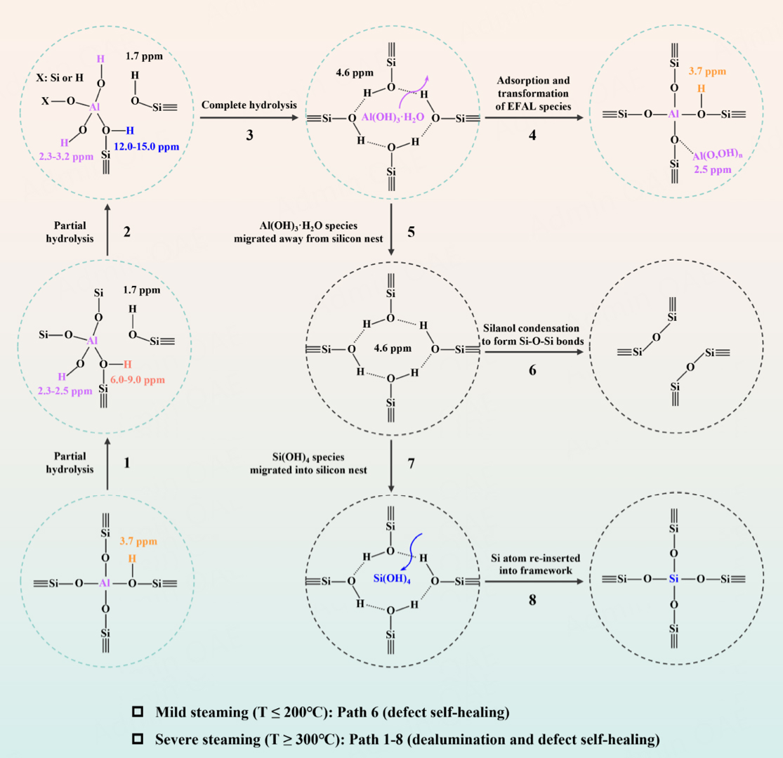 Dynamic evolution of HZSM-5 zeolite framework under steam treatment