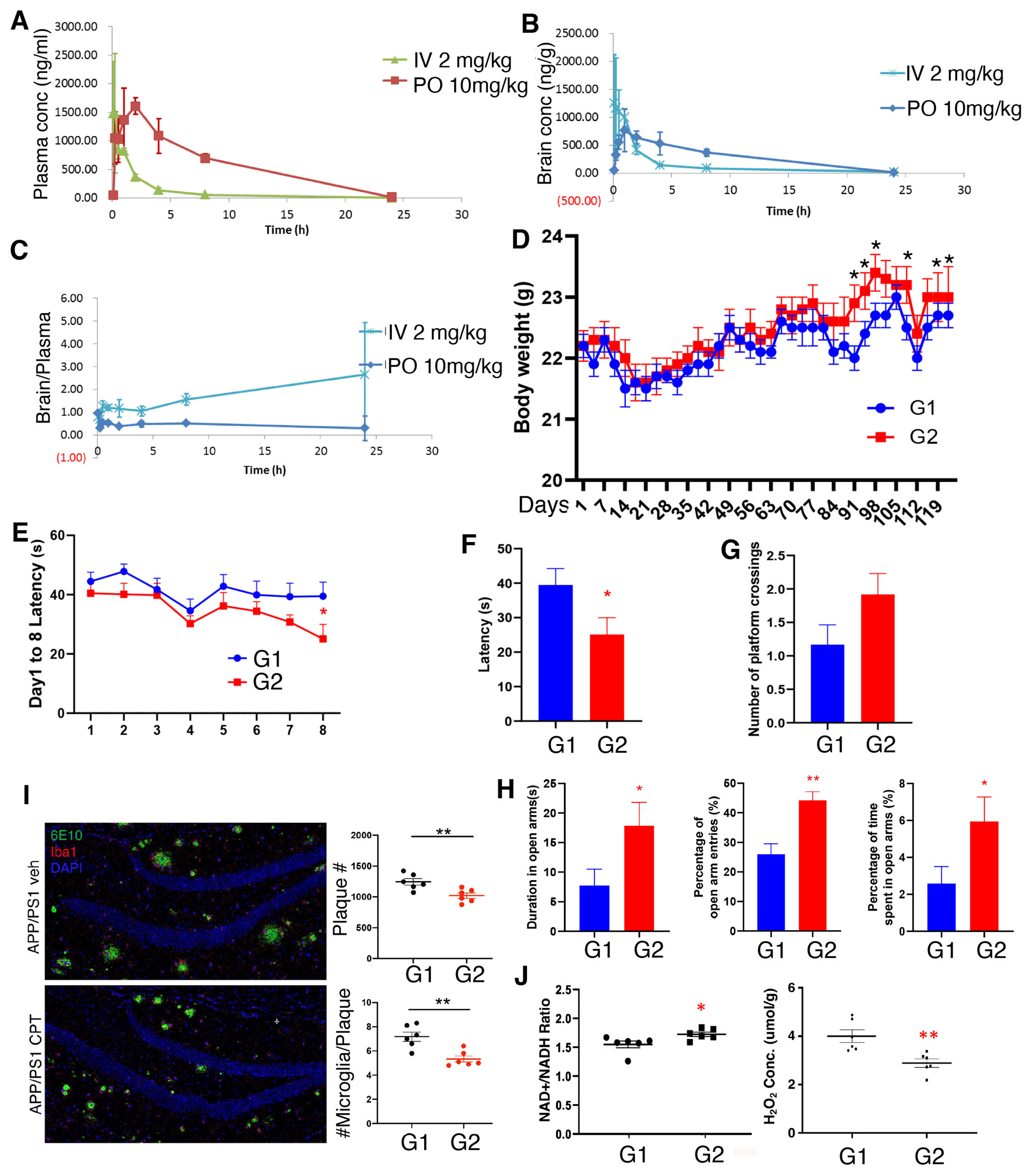 Deregulation of mitochondrial reverse electron transport alters the metabolism of reactive oxygen species and NAD<sup>+</sup>/NADH and presents a therapeutic target in Alzheimer's disease