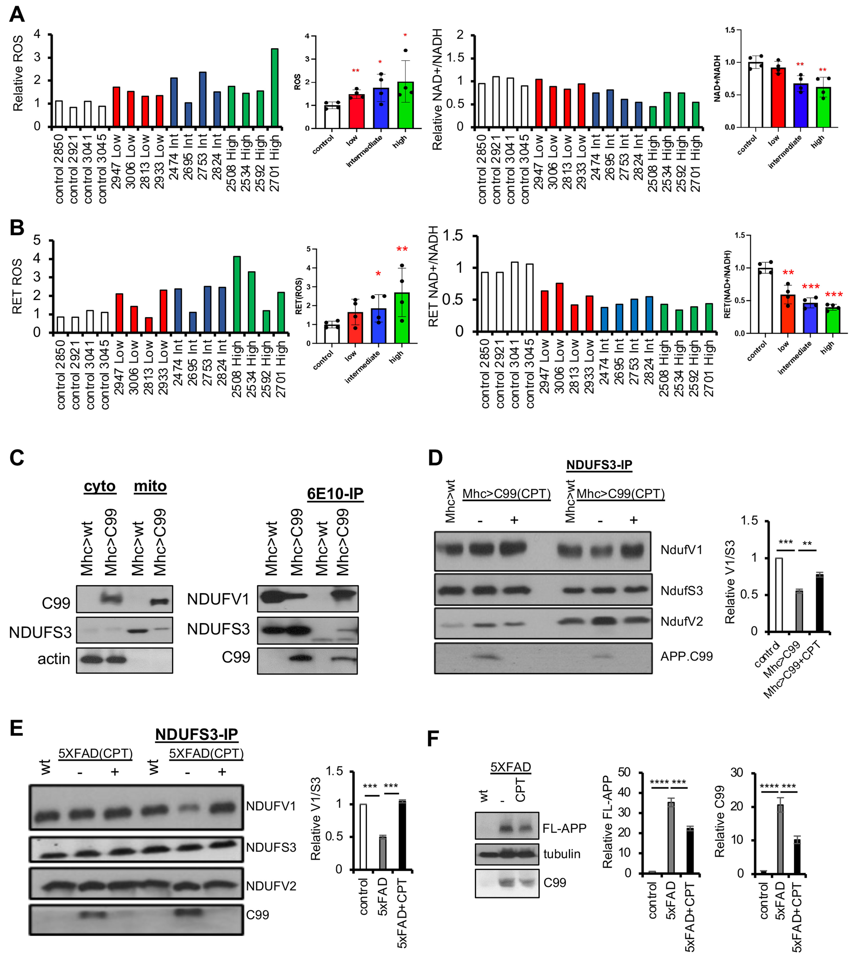Deregulation of mitochondrial reverse electron transport alters the metabolism of reactive oxygen species and NAD<sup>+</sup>/NADH and presents a therapeutic target in Alzheimer's disease