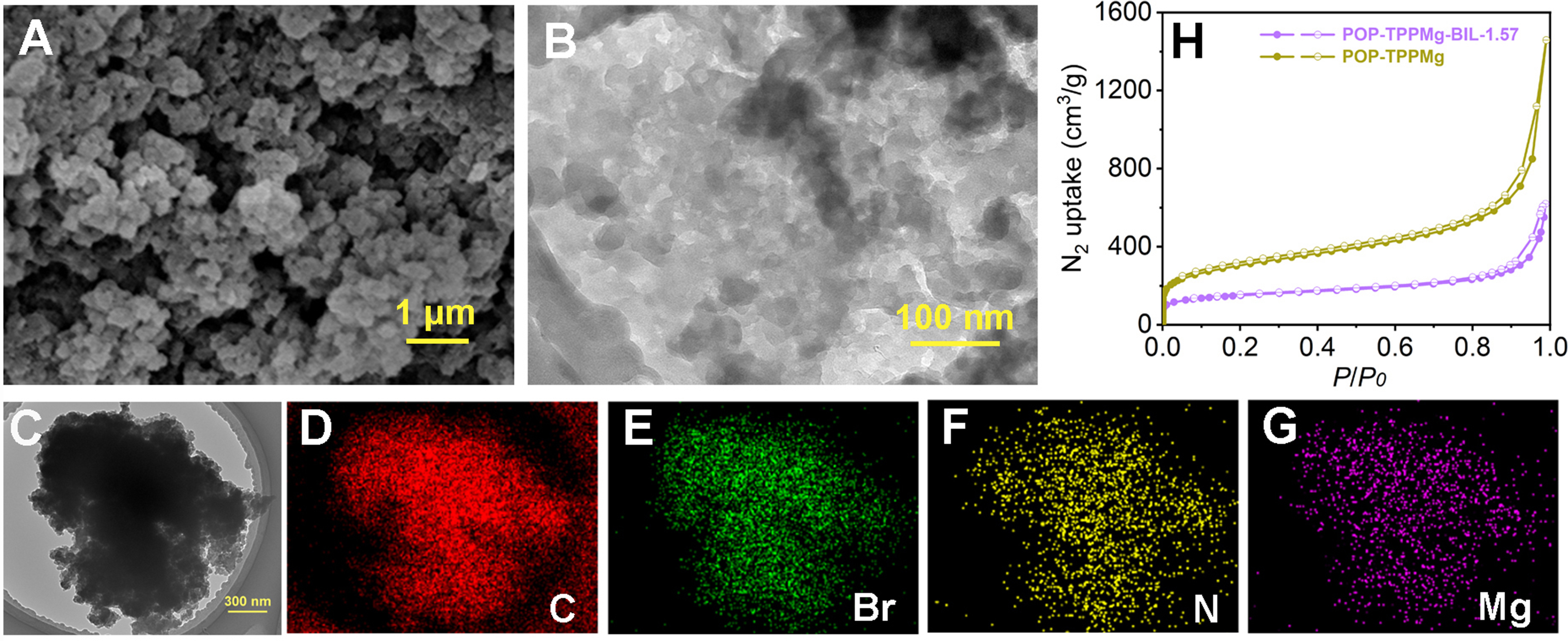 Advancing CO<sub>2</sub> conversion: integrated use of dual active catalytic sites in flexible, porous polymeric porphyrin and ionic liquid composite networks