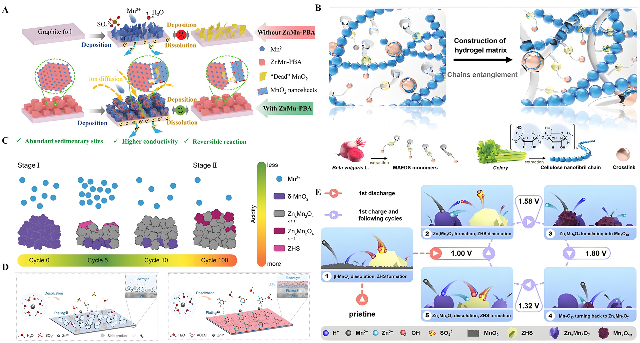 Manganese dioxide as cathode for aqueous zinc-ion batteries: reaction mechanisms, optimization strategies and further prospects