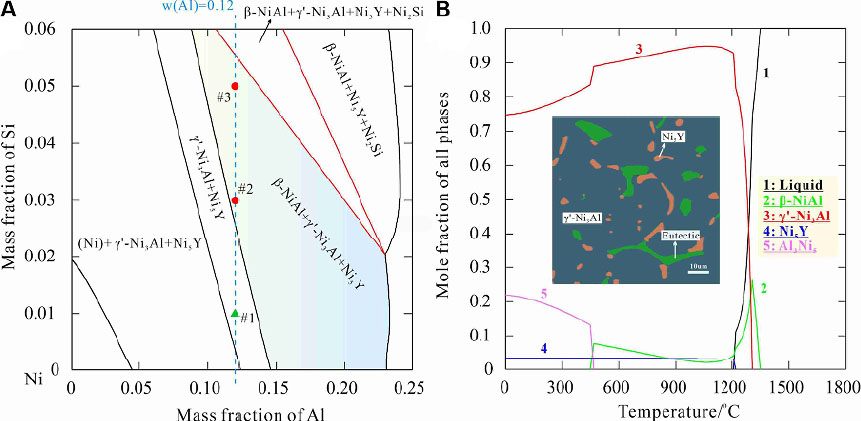 Development of robust surfaces for harsh service environments from the perspective of phase formation and transformation