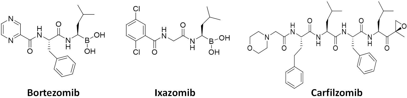 Proteasomal adaptations to FDA-approved proteasome inhibitors: a potential mechanism for drug resistance?