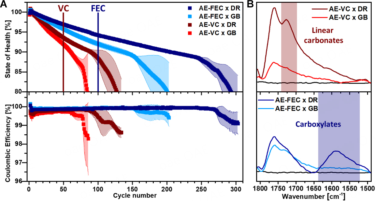 Impact of <i>in coin cell</i> atmosphere on lithium metal battery performance