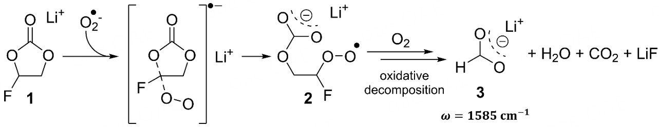 Impact of <i>in coin cell</i> atmosphere on lithium metal battery performance