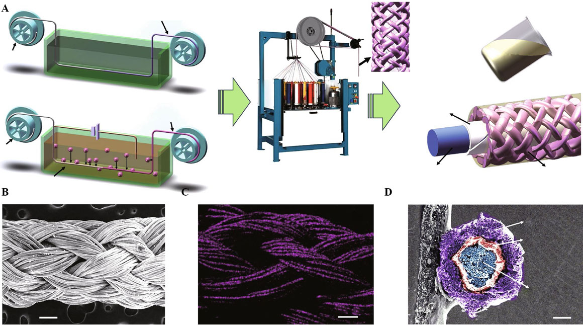 Recent progress and perspective of multifunctional integrated zinc-ion supercapacitors