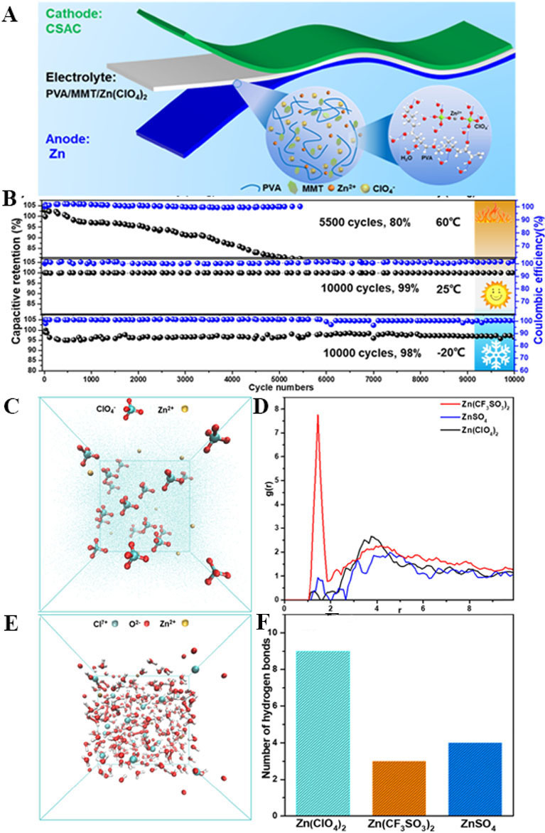 Recent progress and perspective of multifunctional integrated zinc-ion supercapacitors