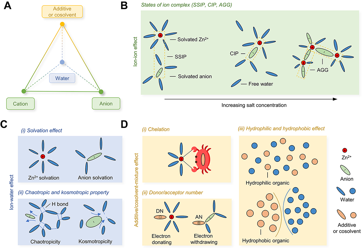 Insights into the design of mildly acidic aqueous electrolytes for improved stability of Zn anode performance in <InlineParagraph>zinc-ion</InlineParagraph> batteries