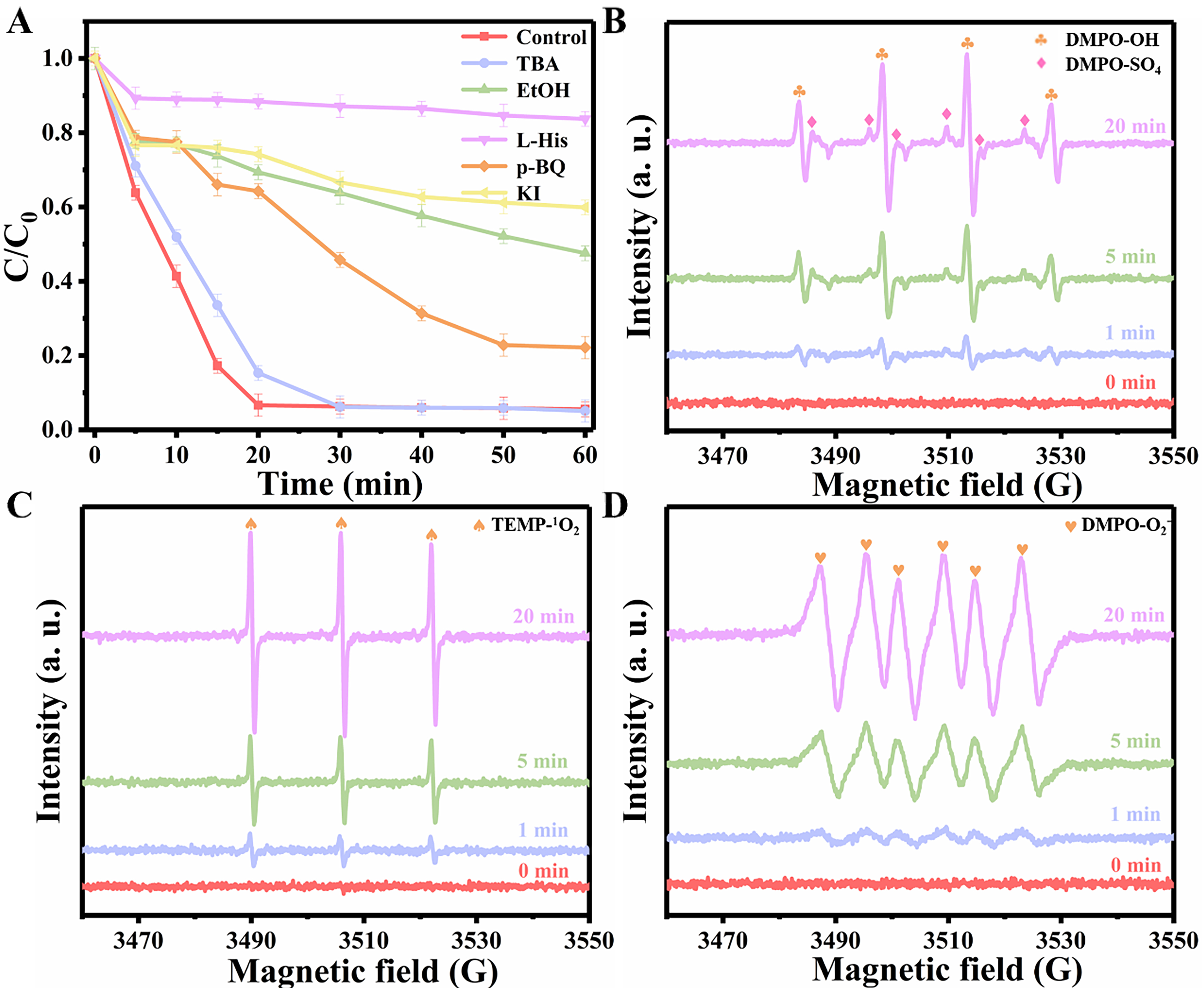 Efficient degradation of carbamazepine by polydopamine-decorated Co/N@ZS activated peroxymonosulfate: performance and mechanism