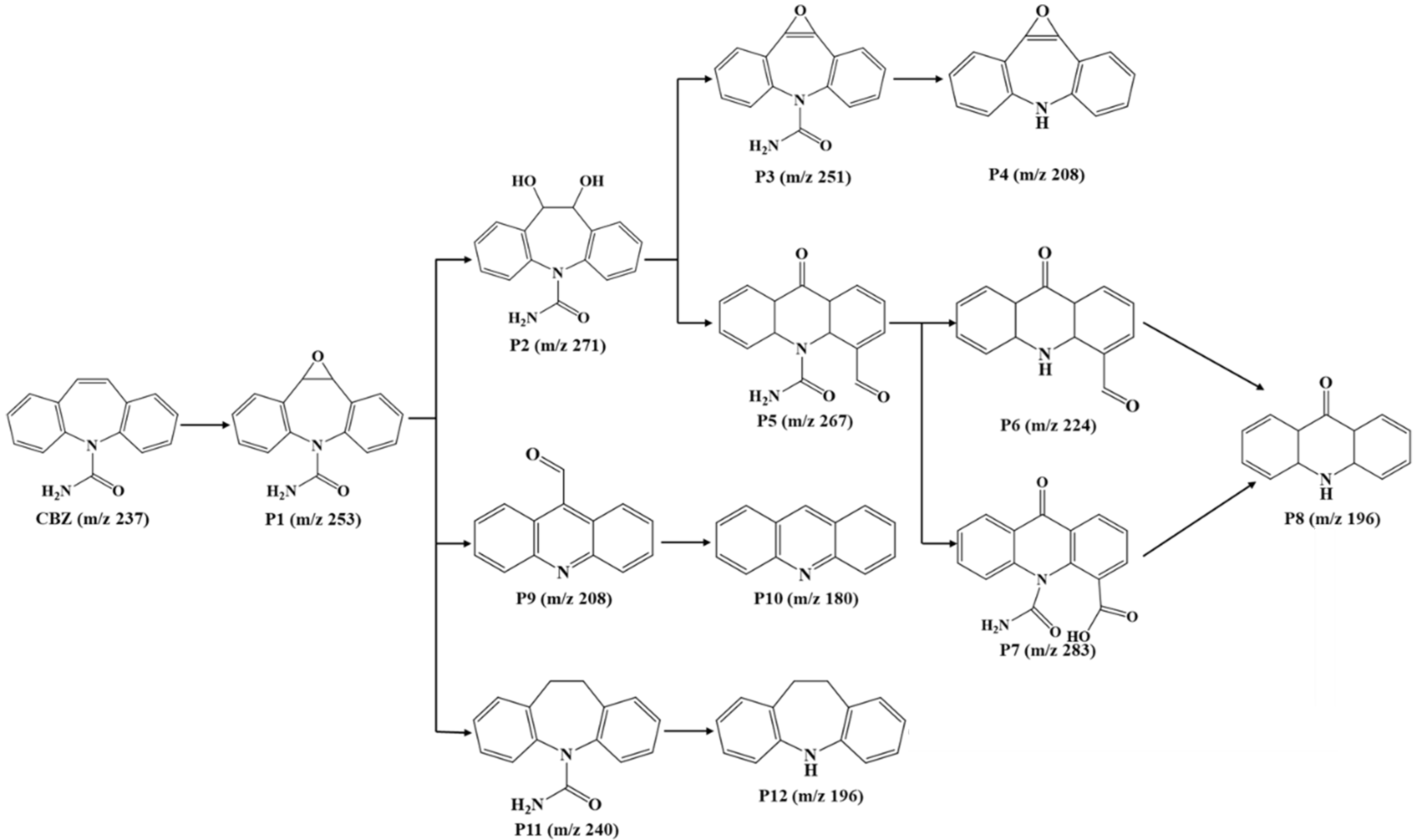 Efficient degradation of carbamazepine by polydopamine-decorated Co/N@ZS activated peroxymonosulfate: performance and mechanism