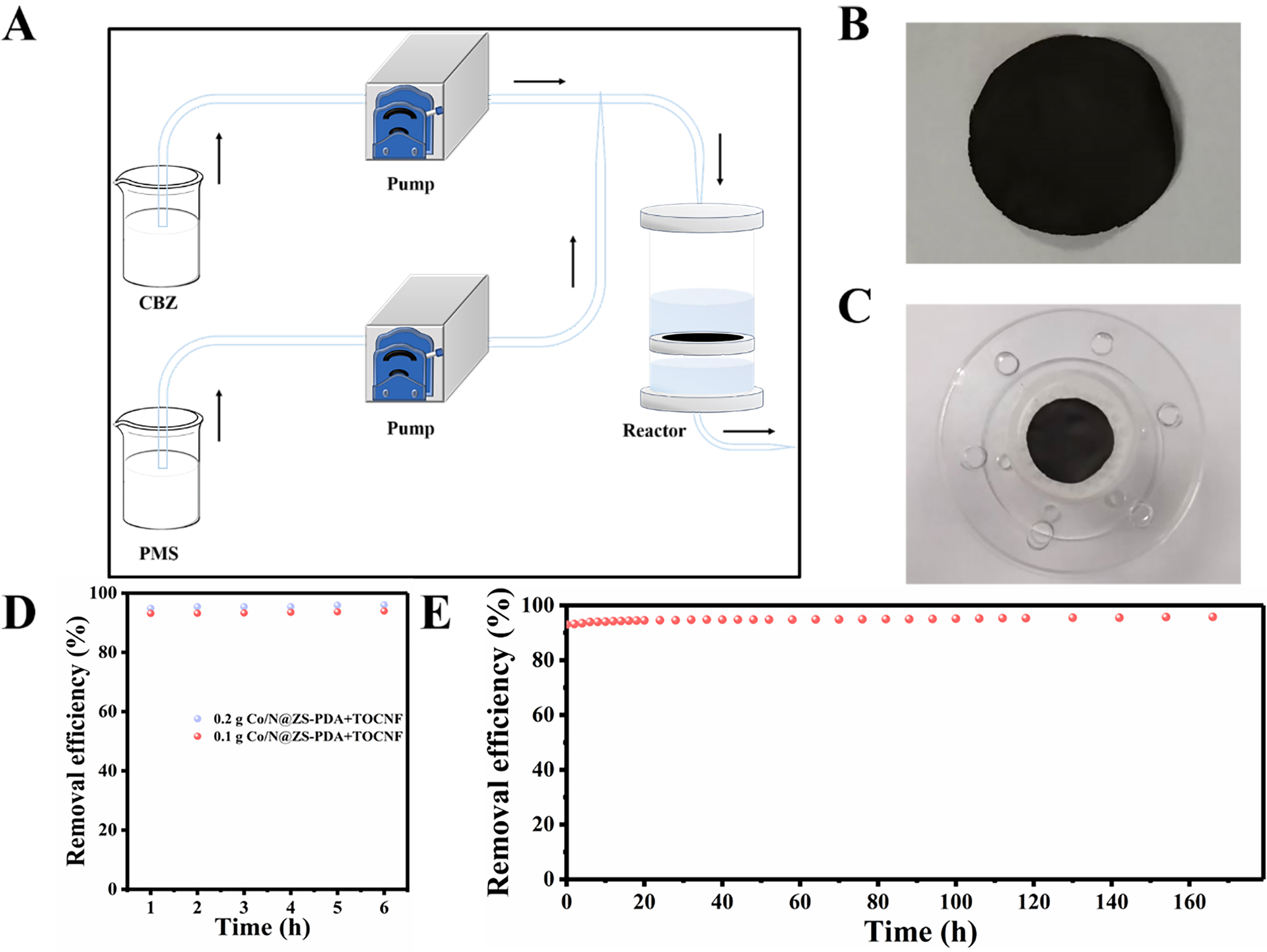 Efficient degradation of carbamazepine by polydopamine-decorated Co/N@ZS activated peroxymonosulfate: performance and mechanism