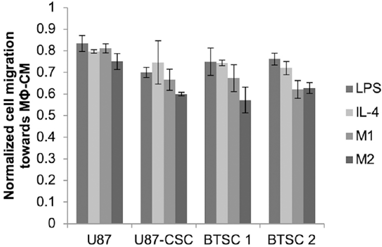 Gene silencing of HIF-2α disrupts glioblastoma stem cell phenotype