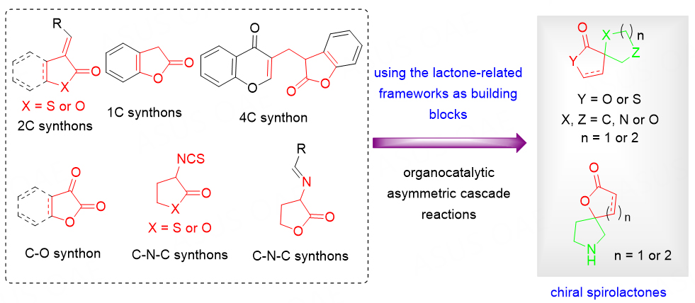 Recent advances in organocatalytic cascade reactions for enantioselective synthesis of chiral spirolactone skeletons