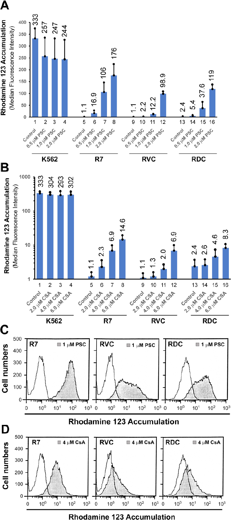Genomic stability at the coding regions of the multidrug transporter gene <i>ABCB1</i>: insights into the development of alternative drug resistance mechanisms in human leukemia cells