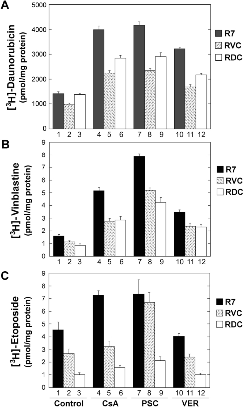 Genomic stability at the coding regions of the multidrug transporter gene <i>ABCB1</i>: insights into the development of alternative drug resistance mechanisms in human leukemia cells