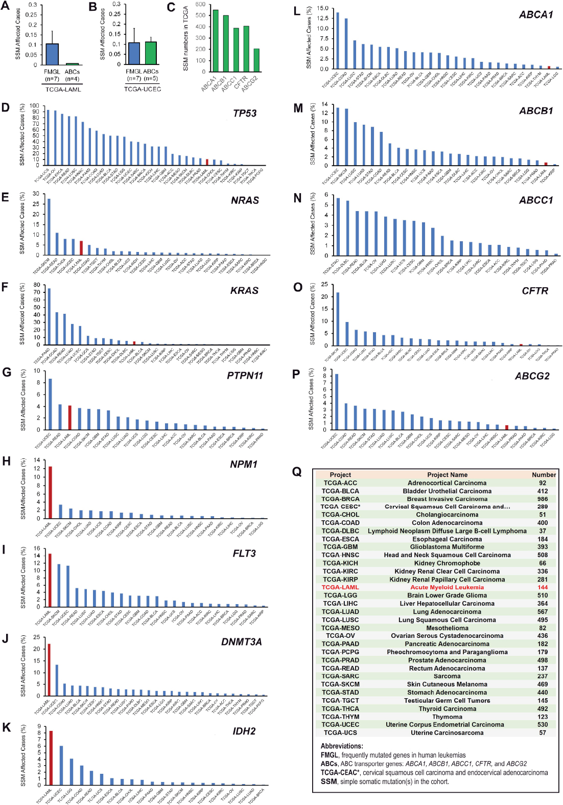 Genomic stability at the coding regions of the multidrug transporter gene <i>ABCB1</i>: insights into the development of alternative drug resistance mechanisms in human leukemia cells