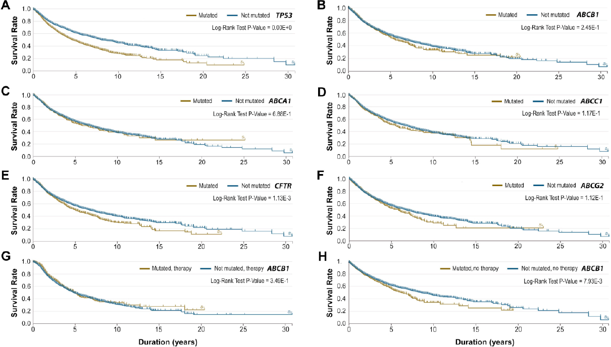 Genomic stability at the coding regions of the multidrug transporter gene <i>ABCB1</i>: insights into the development of alternative drug resistance mechanisms in human leukemia cells