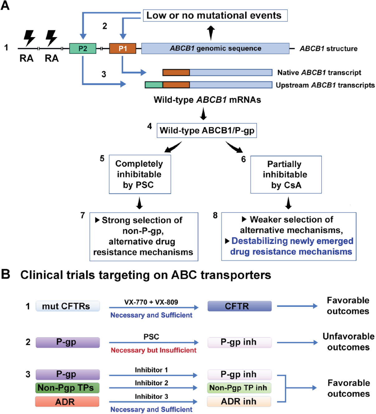 Genomic stability at the coding regions of the multidrug transporter gene <i>ABCB1</i>: insights into the development of alternative drug resistance mechanisms in human leukemia cells