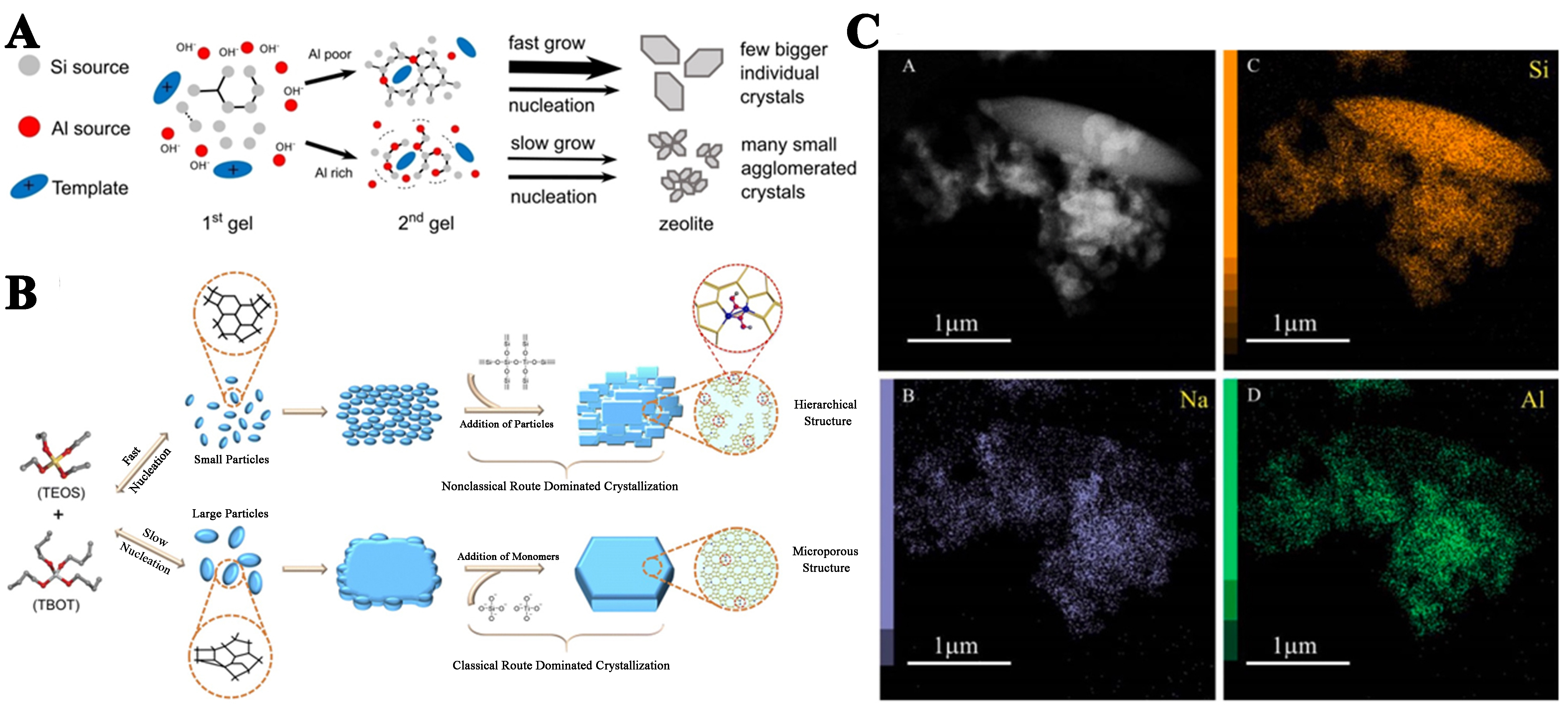 Recent advances in understanding the mechanisms of zeolite crystallization: a review