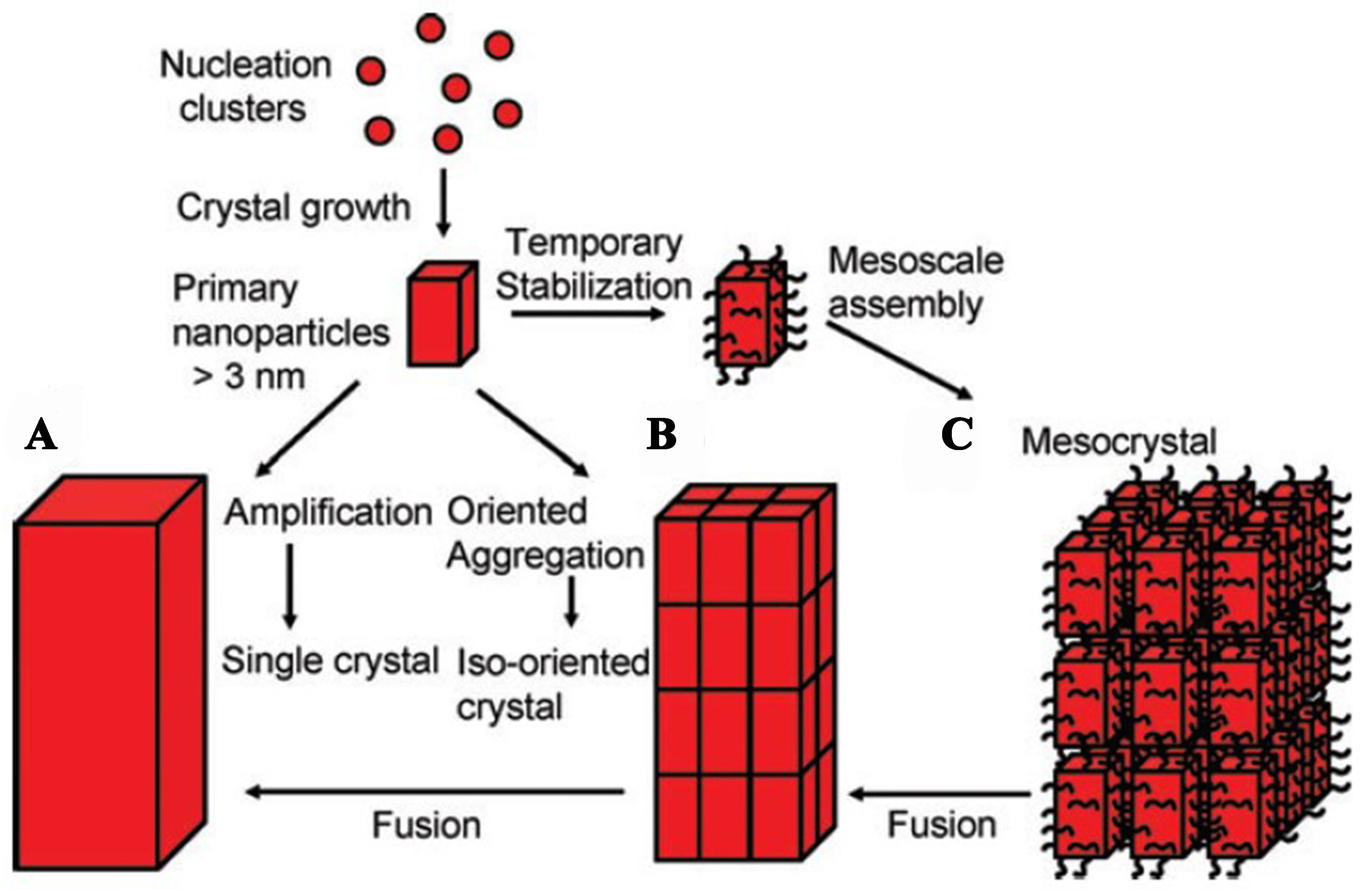 Recent advances in understanding the mechanisms of zeolite crystallization: a review