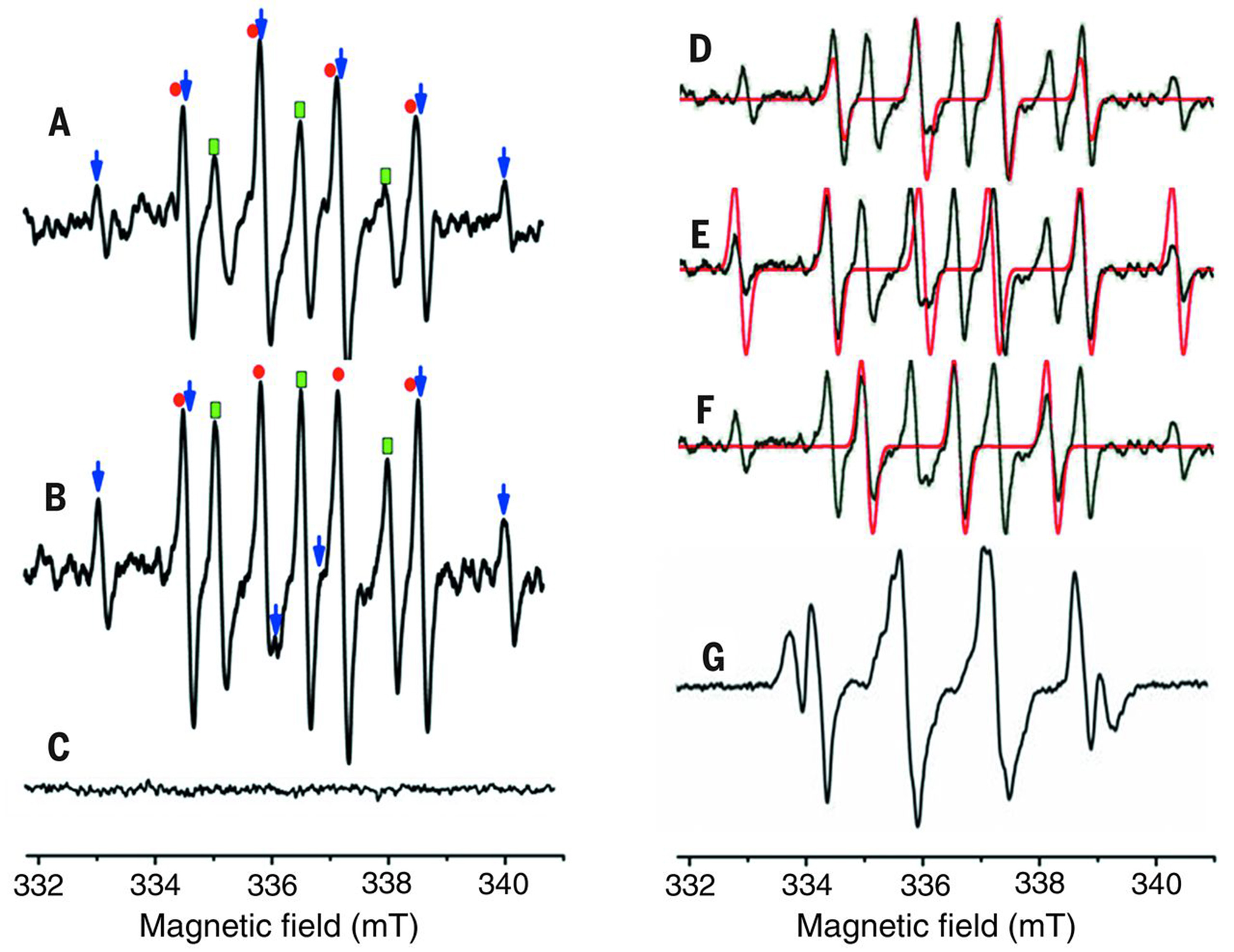 Recent advances in understanding the mechanisms of zeolite crystallization: a review