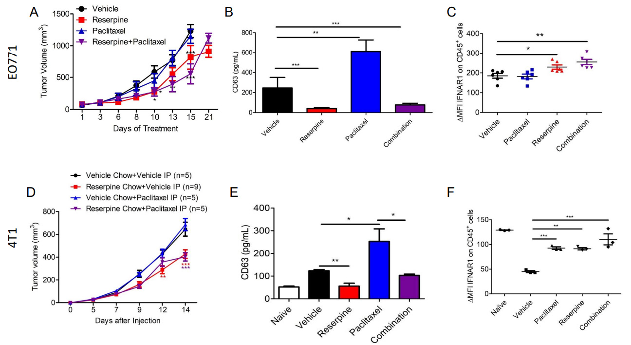 NUPR1 packaged in extracellular vesicles promotes murine triple-negative breast cancer in a type 1 interferon-independent manner