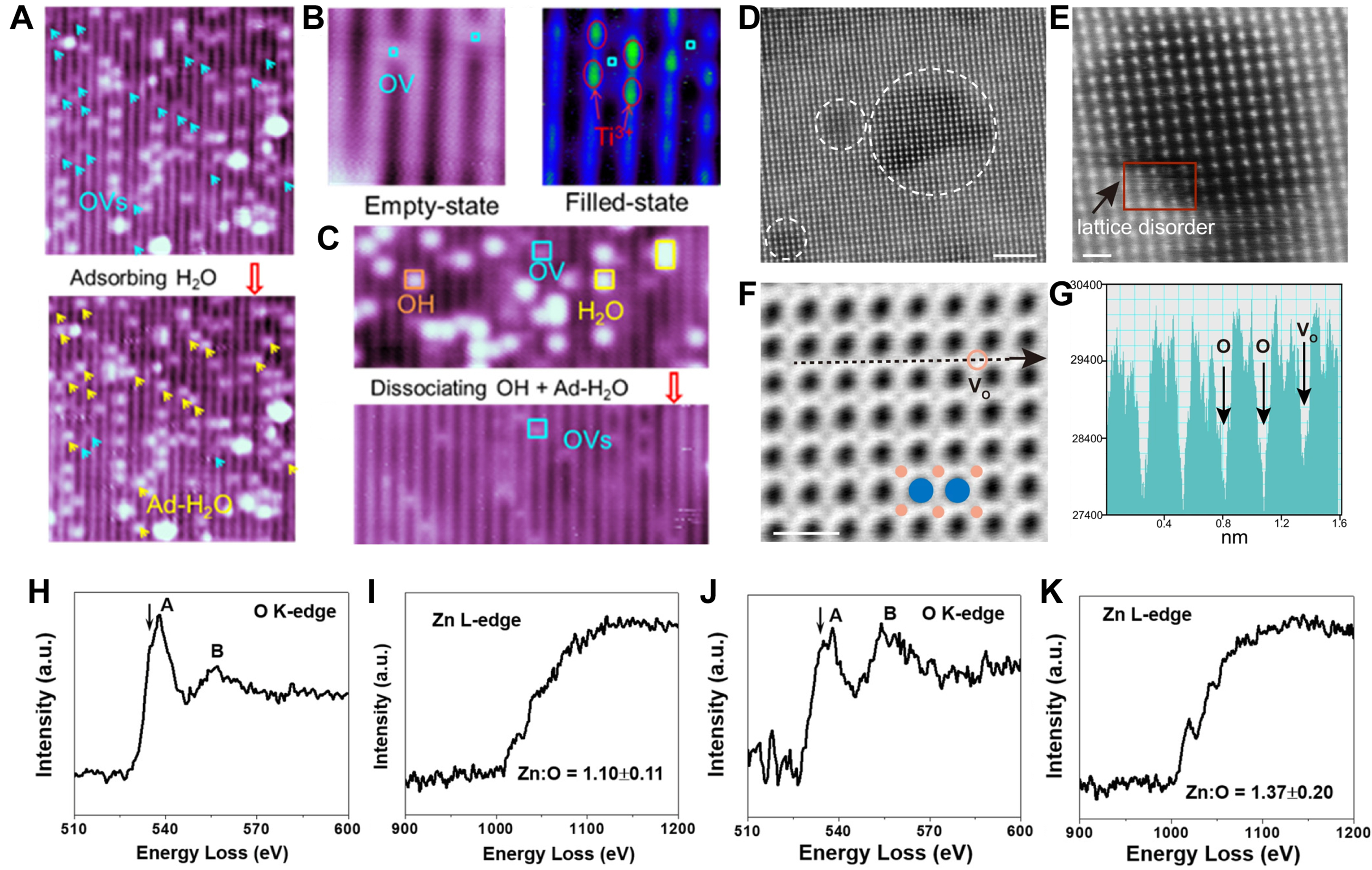 Oxygen vacancy modulation in two-dimensional metal oxides for biomedical applications