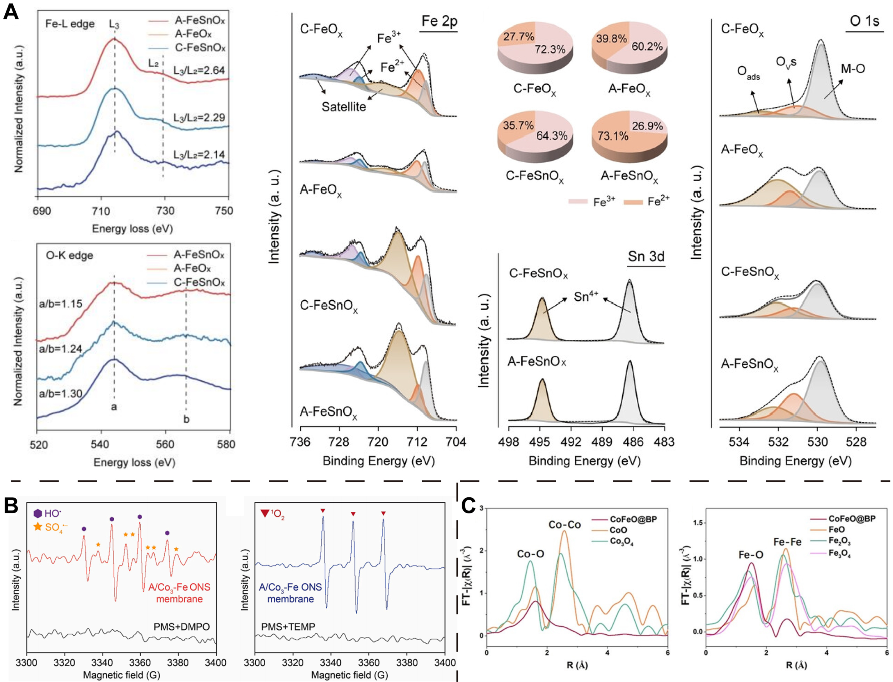 Oxygen vacancy modulation in two-dimensional metal oxides for biomedical applications