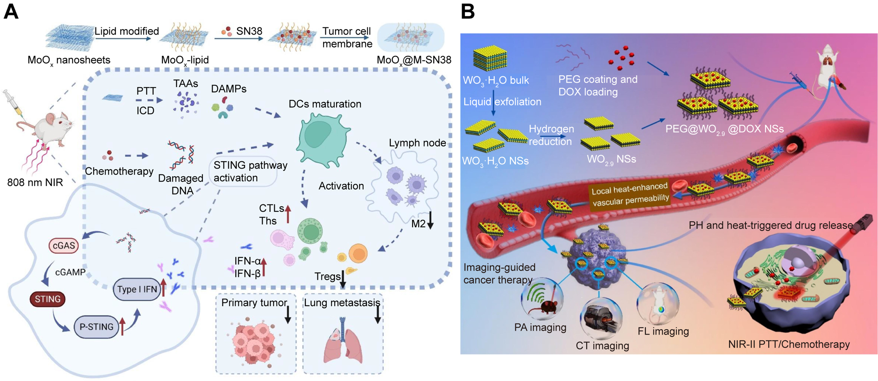 Oxygen vacancy modulation in two-dimensional metal oxides for biomedical applications