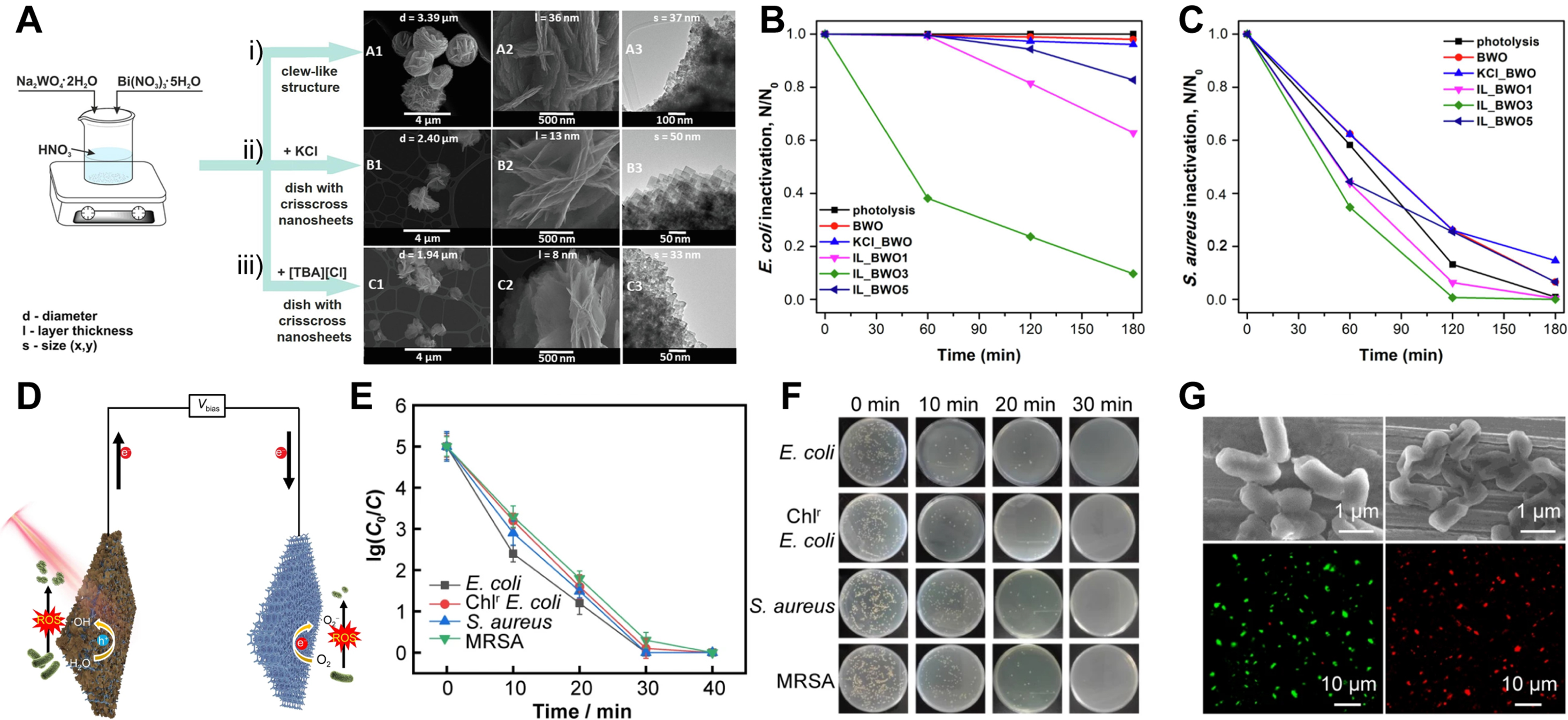 Oxygen vacancy modulation in two-dimensional metal oxides for biomedical applications