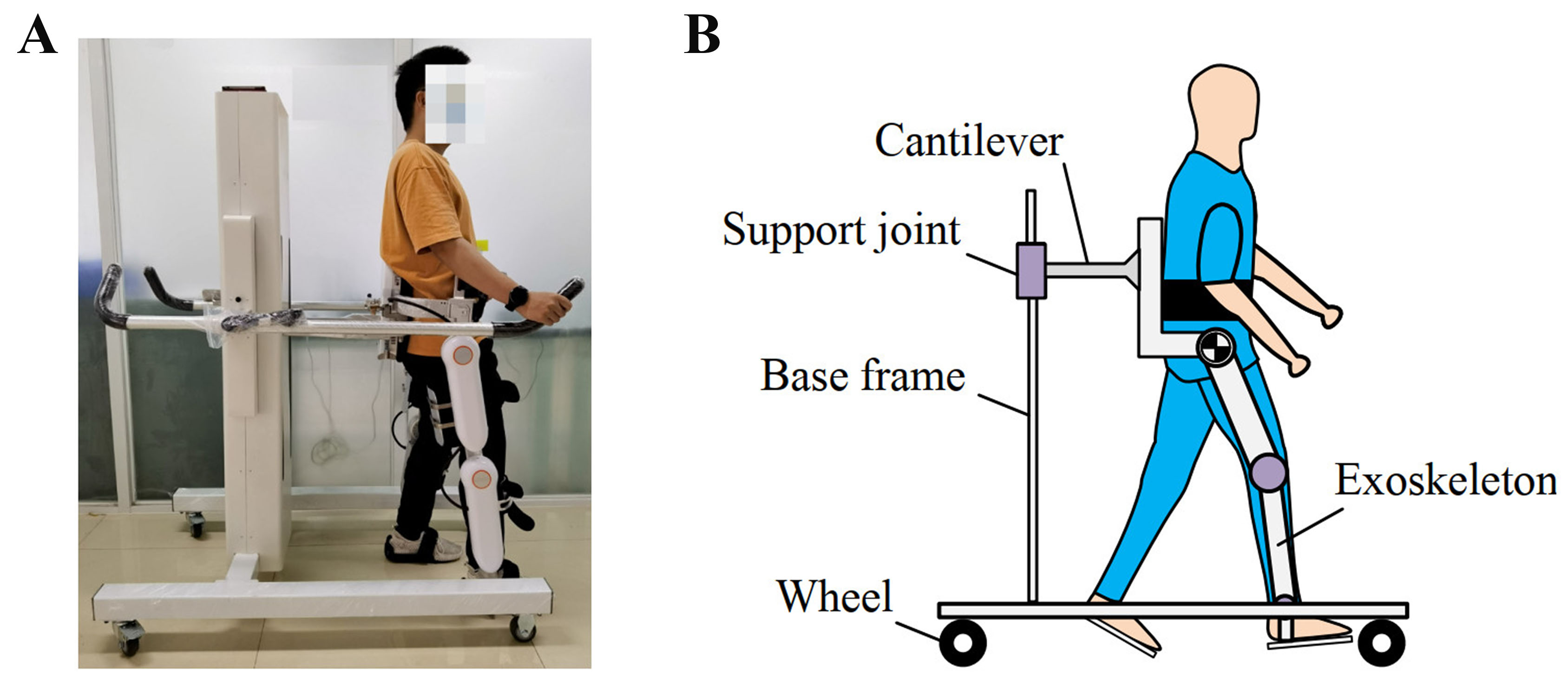 Coordinated energy-efficient walking assistance for paraplegic patients by using the exoskeleton-walker system